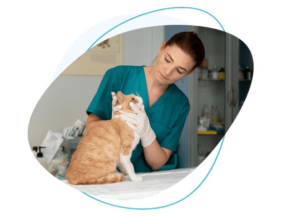 &lt;picture&gt;&lt;source type=&quot;image/webp&quot; srcset=&quot;https://www.pawlicywizard.com/wp-content/uploads/2022/09/Pet-insurance-1-1-300x230.png.webp 300w, https://www.pawlicywizard.com/wp-content/uploads/2022/09/Pet-insurance-1-1-52x40.png.webp 52w, https://www.pawlicywizard.com/wp-content/uploads/2022/09/Pet-insurance-1-1-160x123.png.webp 160w, https://www.pawlicywizard.com/wp-content/uploads/2022/09/Pet-insurance-1-1-360x276.png.webp 360w, https://www.pawlicywizard.com/wp-content/uploads/2022/09/Pet-insurance-1-1-220x169.png.webp 220w, https://www.pawlicywizard.com/wp-content/uploads/2022/09/Pet-insurance-1-1-440x338.png.webp 440w, https://www.pawlicywizard.com/wp-content/uploads/2022/09/Pet-insurance-1-1-39x30.png.webp 39w, https://www.pawlicywizard.com/wp-content/uploads/2022/09/Pet-insurance-1-1-78x60.png.webp 78w, https://www.pawlicywizard.com/wp-content/uploads/2022/09/Pet-insurance-1-1-104x80.png.webp 104w, https://www.pawlicywizard.com/wp-content/uploads/2022/09/Pet-insurance-1-1.png.webp 569w&quot;&gt;&lt;/source&gt;&lt;source type=&quot;image/png&quot; srcset=&quot;https://www.pawlicywizard.com/wp-content/uploads/2022/09/Pet-insurance-1-1-300x230.png 300w, https://www.pawlicywizard.com/wp-content/uploads/2022/09/Pet-insurance-1-1-52x40.png 52w, https://www.pawlicywizard.com/wp-content/uploads/2022/09/Pet-insurance-1-1-160x123.png 160w, https://www.pawlicywizard.com/wp-content/uploads/2022/09/Pet-insurance-1-1-360x276.png 360w, https://www.pawlicywizard.com/wp-content/uploads/2022/09/Pet-insurance-1-1-220x169.png 220w, https://www.pawlicywizard.com/wp-content/uploads/2022/09/Pet-insurance-1-1-440x338.png 440w, https://www.pawlicywizard.com/wp-content/uploads/2022/09/Pet-insurance-1-1-39x30.png 39w, https://www.pawlicywizard.com/wp-content/uploads/2022/09/Pet-insurance-1-1-78x60.png 78w, https://www.pawlicywizard.com/wp-content/uploads/2022/09/Pet-insurance-1-1-104x80.png 104w, https://www.pawlicywizard.com/wp-content/uploads/2022/09/Pet-insurance-1-1.png 569w&quot;&gt;&lt;/source&gt;&lt;img loading=&quot;lazy&quot; decoding=&quot;async&quot; class=&quot;alignright wp-image-3261 &quot; src=&quot;https://www.pawlicywizard.com/wp-content/uploads/2022/09/Pet-insurance-1-1.png&quot; alt=&quot;&quot; width=&quot;635&quot; height=&quot;488&quot; srcset=&quot;https://www.pawlicywizard.com/wp-content/uploads/2022/09/Pet-insurance-1-1-300x230.png 300w, https://www.pawlicywizard.com/wp-content/uploads/2022/09/Pet-insurance-1-1-52x40.png 52w, https://www.pawlicywizard.com/wp-content/uploads/2022/09/Pet-insurance-1-1-160x123.png 160w, https://www.pawlicywizard.com/wp-content/uploads/2022/09/Pet-insurance-1-1-360x276.png 360w, https://www.pawlicywizard.com/wp-content/uploads/2022/09/Pet-insurance-1-1-220x169.png 220w, https://www.pawlicywizard.com/wp-content/uploads/2022/09/Pet-insurance-1-1-440x338.png 440w, https://www.pawlicywizard.com/wp-content/uploads/2022/09/Pet-insurance-1-1-39x30.png 39w, https://www.pawlicywizard.com/wp-content/uploads/2022/09/Pet-insurance-1-1-78x60.png 78w, https://www.pawlicywizard.com/wp-content/uploads/2022/09/Pet-insurance-1-1-104x80.png 104w, https://www.pawlicywizard.com/wp-content/uploads/2022/09/Pet-insurance-1-1.png 569w&quot;&gt;&lt;/picture&gt;How to Choose the Right Pet Insurance Policy for Your Pet