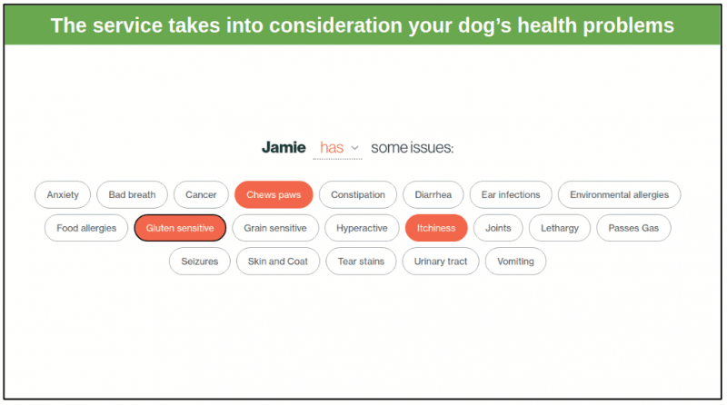 Plans and Recipes: Does Their Bite Match Their Bark?